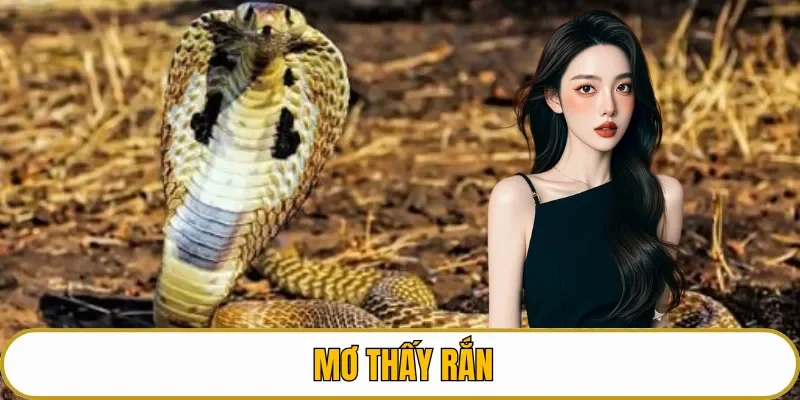 Mơ thấy rắn